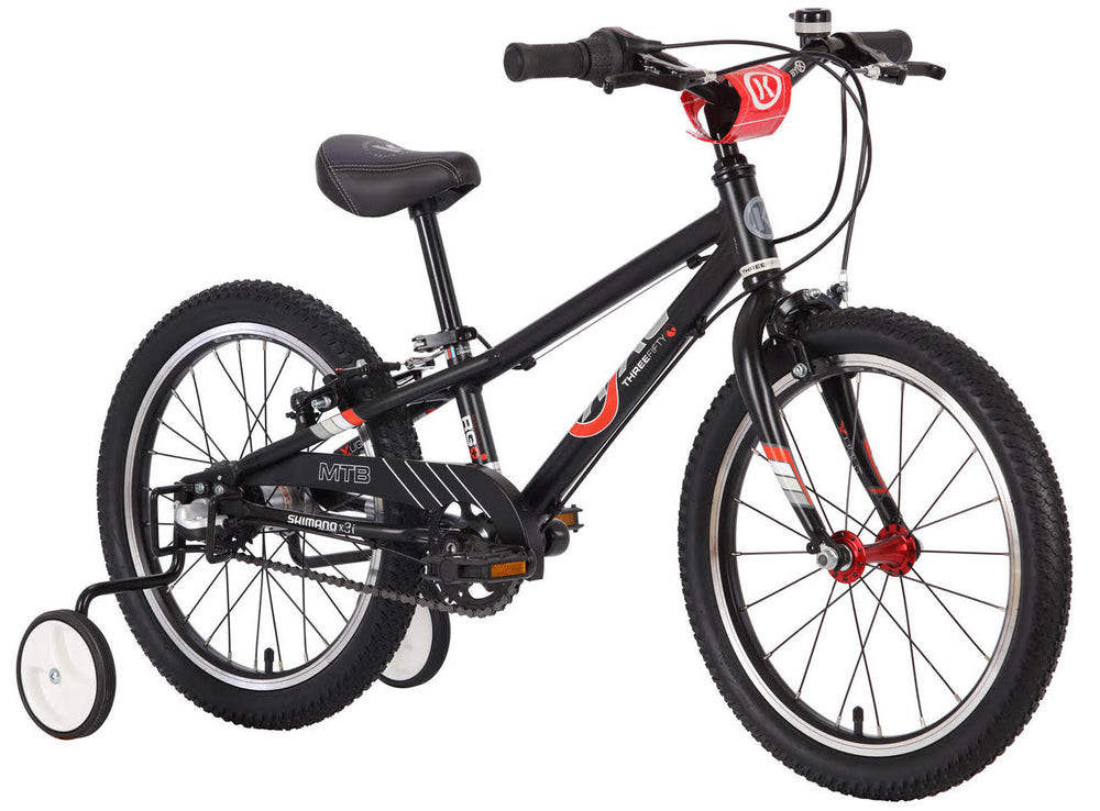 BYK E-350 Children's 18" Mountain Bike for Age 4-6 (with training wheels)