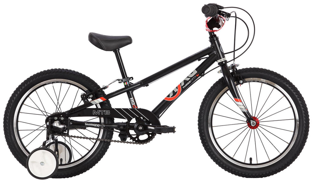 BYK E-350 Children's 18" Mountain Bike for Age 4-6 (with training wheels)