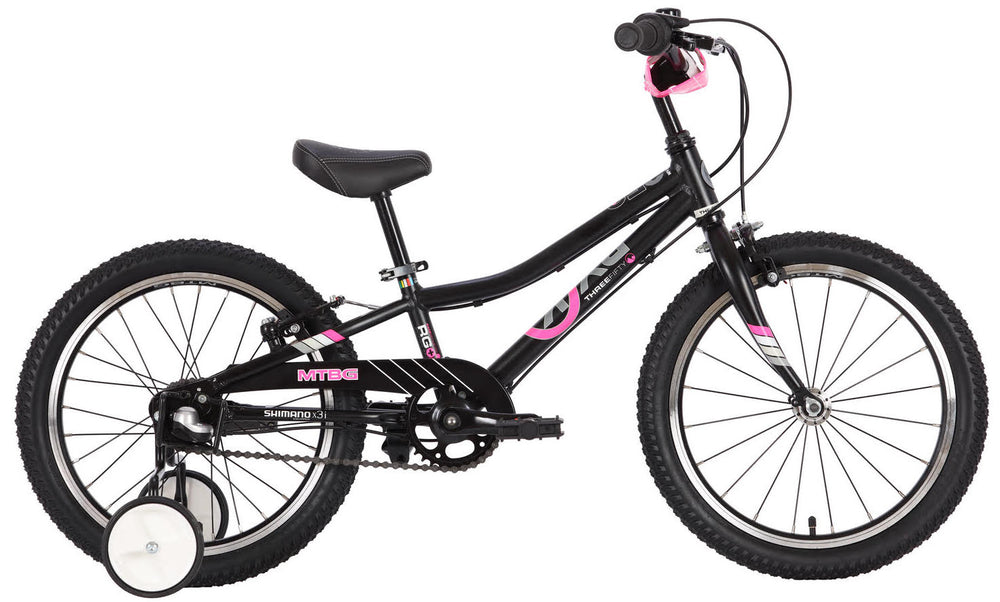 BYK E-350 Girl's 18" Mountain Bike for Age 4-6 (with training wheels)