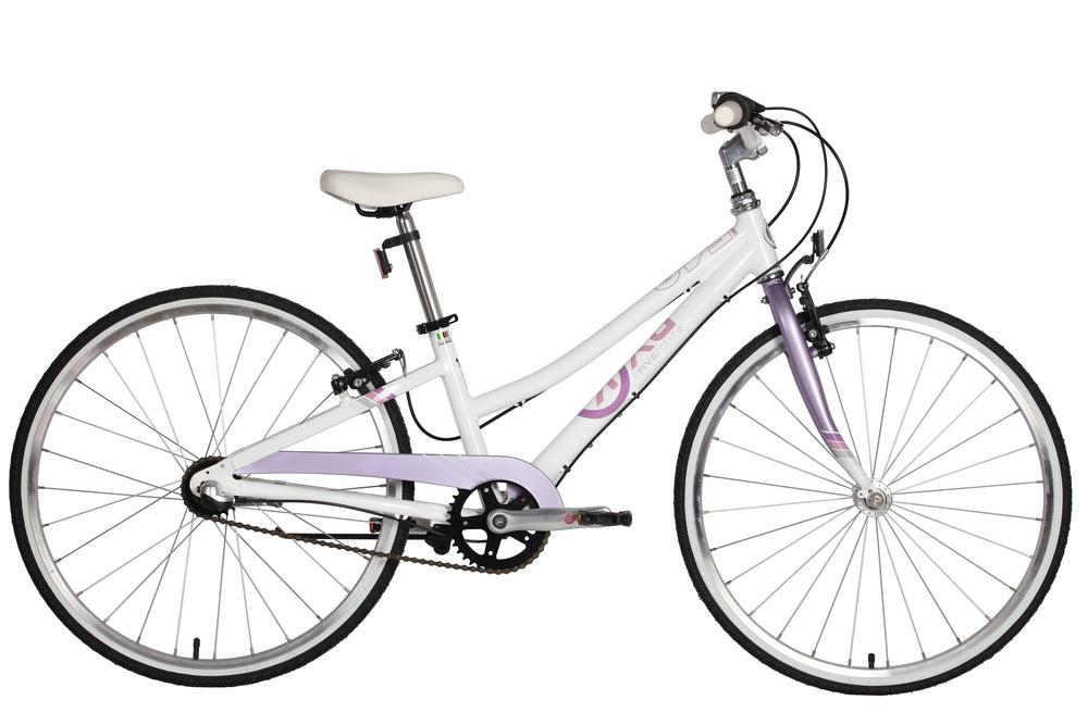 E-540x3i Kids 24" Internal 3 Speed Bike ONE LEFT in Red